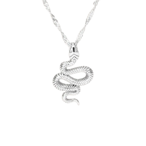 Colar Pingente Cobra Prata | BELLORIE