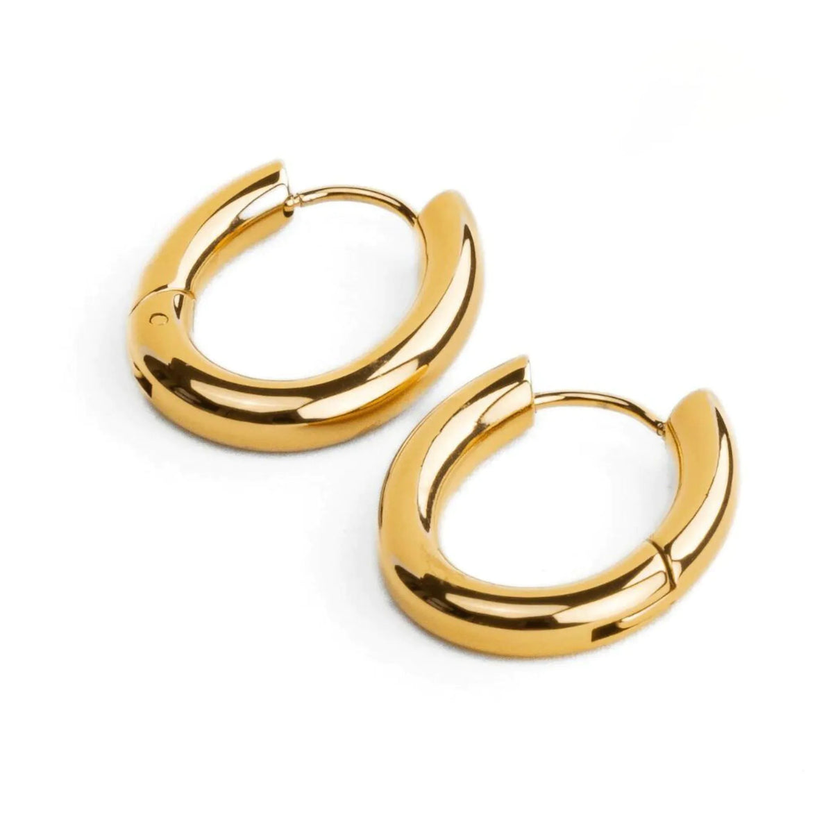 Mini Brinco de Argola Fiora Banhado a Ouro 18k | BELLORIE
